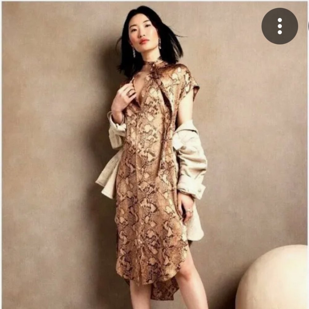 Banana Republic Serenade Silk Shirtdress